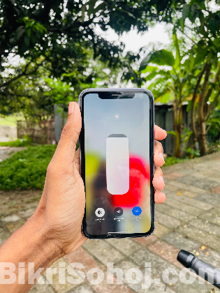Apple 11